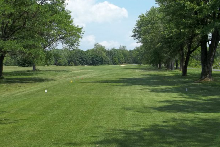 View of golf course green